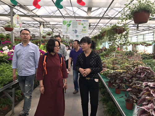 中國風(fēng)景園林網(wǎng)員工到世界花卉大觀園感受春光