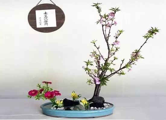 東方插花三大原則，構圖表現形式和十三要訣