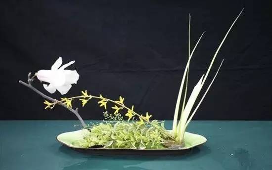 東方插花三大原則，構圖表現形式和十三要訣