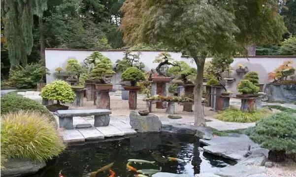 盆景——從園林中走出來(lái)的造型藝術(shù)
