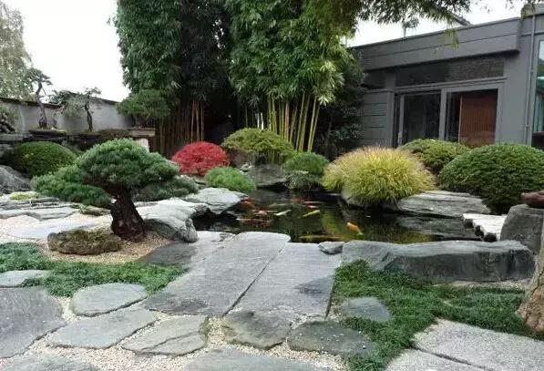 盆景——從園林中走出來(lái)的造型藝術(shù)