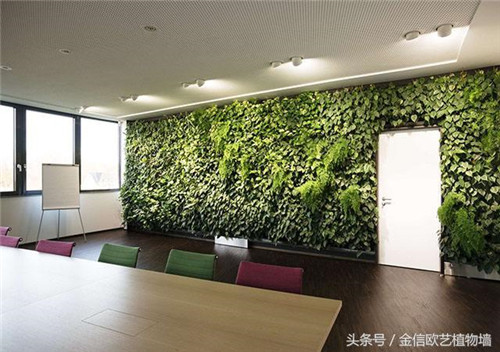 立體綠化植物墻為何這么受歡迎？