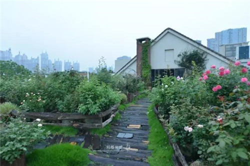 露臺(tái)上建造的花園