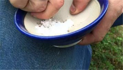 過(guò)期藥片竟使植物發(fā)生神奇變化