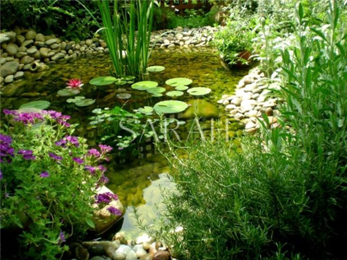 花園設(shè)計(jì)“園集獎”優(yōu)秀作品：薩拉的花園