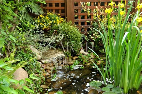 花園設計“園集獎”優(yōu)秀作品：薩拉的花園