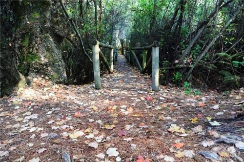 西班牙世外桃源——多南那國(guó)家公園