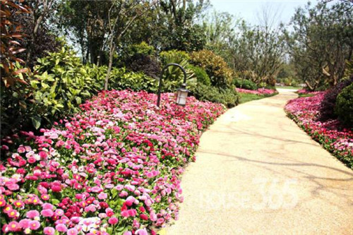 中國現(xiàn)代園林植物造景進(jìn)階論