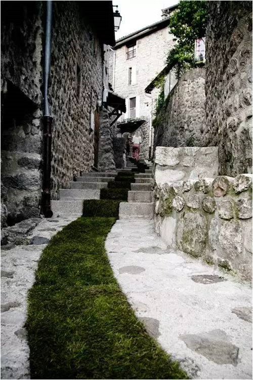 中國現(xiàn)代園林植物造景進(jìn)階論