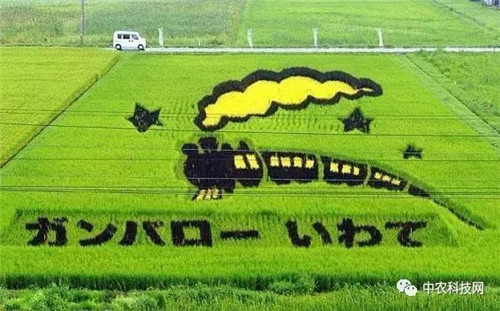 國(guó)外創(chuàng)意農(nóng)業(yè)的4種成功類(lèi)型
