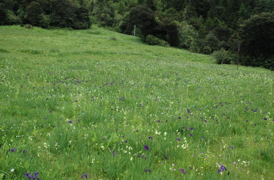 包滿珠：城市建設(shè)與屬地自然生態(tài)系統(tǒng)的保護