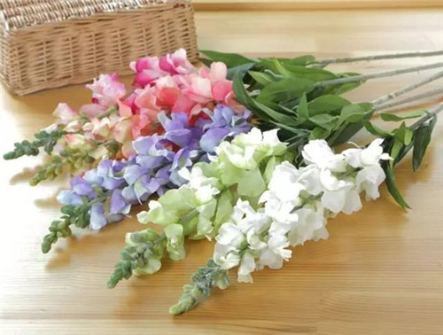 插花花材，你應該這樣挑