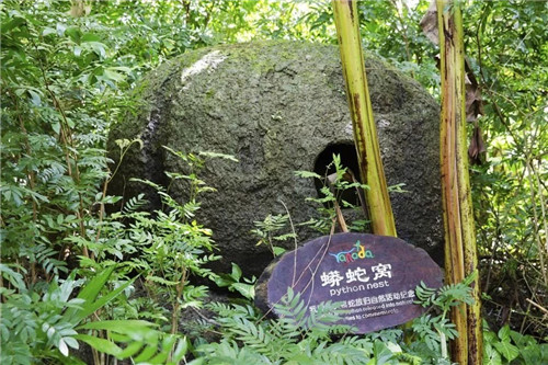  雨林谷：一個(gè)原生態(tài)的熱帶雨林植物的王國(guó)