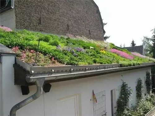 綠植代替瓦片，覆土建筑讓景觀天人合一！