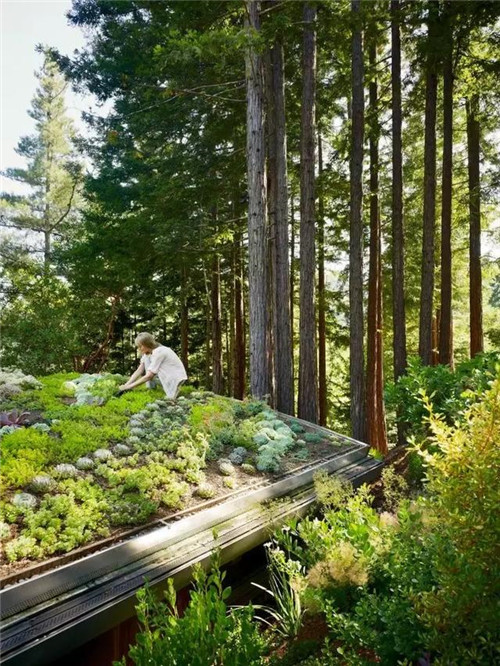 綠植代替瓦片，覆土建筑讓景觀天人合一！