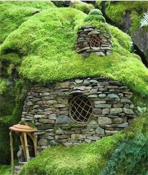 綠植代替瓦片，覆土建筑讓景觀天人合一！