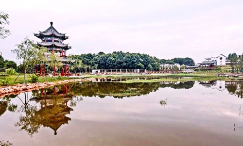 園冶杯專業(yè)獎：金溪縣香樟森林公園景觀設計