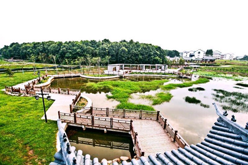 園冶杯專業(yè)獎：金溪縣香樟森林公園景觀設計