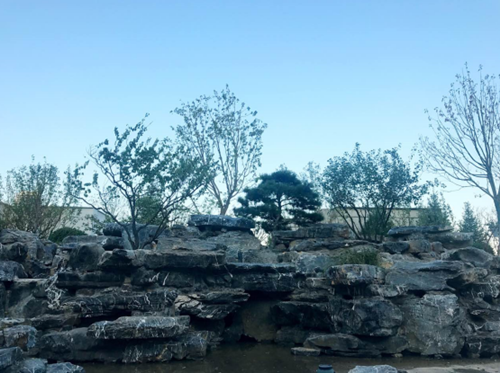 園冶杯專(zhuān)業(yè)獎(jiǎng)：天津譽(yù)峰園園林景觀工程