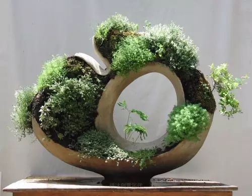 超有創(chuàng)意，是雕塑還是花盆？
