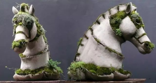 超有創(chuàng)意，是雕塑還是花盆？