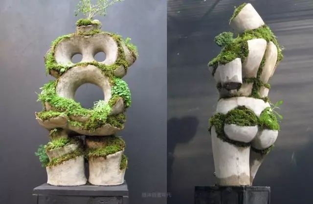 超有創(chuàng)意，是雕塑還是花盆？