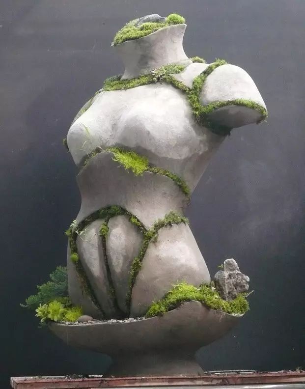 超有創(chuàng)意，是雕塑還是花盆？