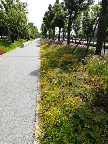 園冶杯專業(yè)獎：梅溪湖路西延線道路景觀設計
