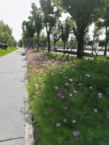 園冶杯專業(yè)獎：梅溪湖路西延線道路景觀設計