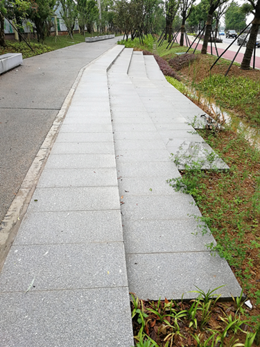 園冶杯專業(yè)獎：梅溪湖路西延線道路景觀設計