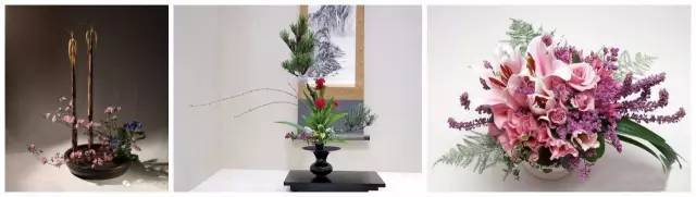 中式、日式、西式插花，最大的區別是什么？