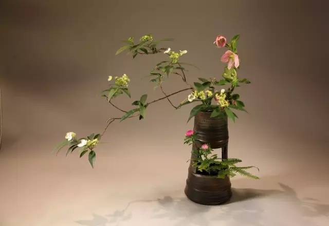 中式、日式、西式插花，最大的區別是什么？