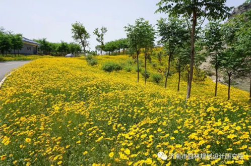 國土部考察濟(jì)南園林院臥牛山地質(zhì)公園項目