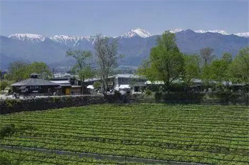 國(guó)外休閑農(nóng)業(yè)原來(lái)這么玩