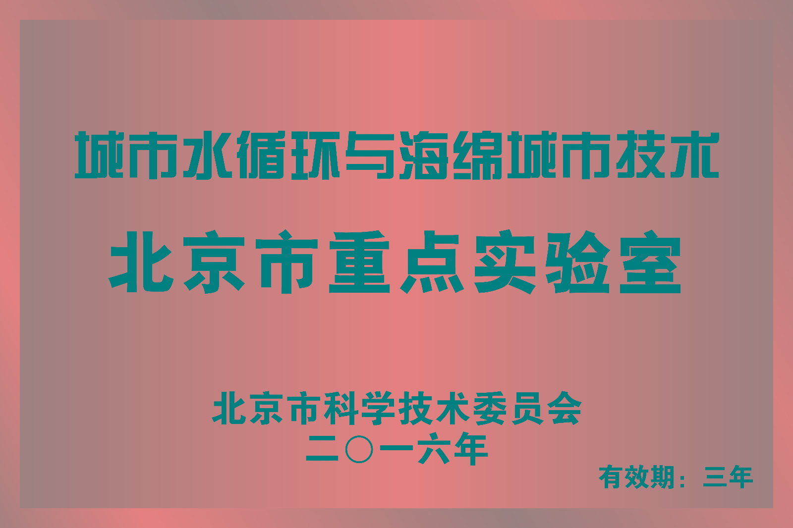 城市水文學(xué)與海綿城市技術(shù)學(xué)術(shù)報(bào)告在京舉行