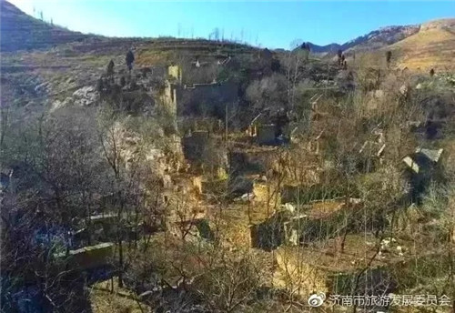 濟(jì)南章丘這個(gè)古村落里竟藏著顆千年古樹(shù)