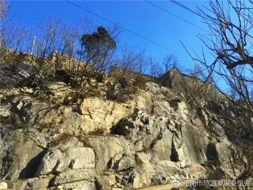 濟(jì)南章丘這個(gè)古村落里竟藏著顆千年古樹(shù)
