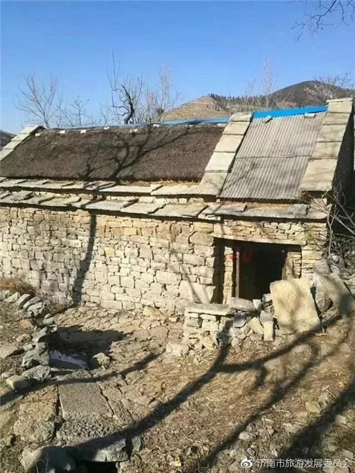 濟(jì)南章丘這個(gè)古村落里竟藏著顆千年古樹(shù)