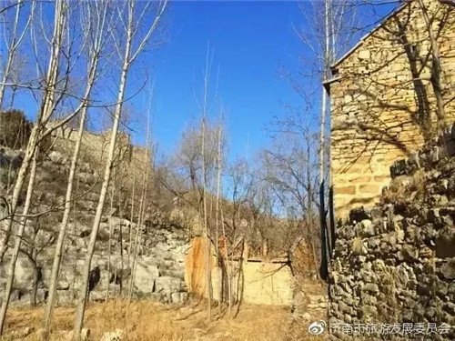 濟(jì)南章丘這個(gè)古村落里竟藏著顆千年古樹(shù)