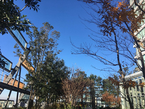 日本景觀(guān)考察：與隈研吾、戶(hù)田芳樹(shù)大師對(duì)話(huà)