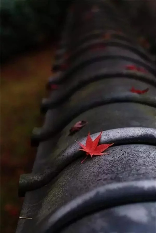 民宿設(shè)計(jì)意韻東方，瓦檐之美，美在細(xì)節(jié)