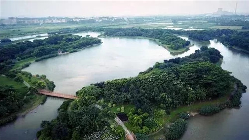 東莞生態園：海綿城市為術，區域整合為道