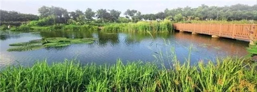東莞生態園：海綿城市為術，區域整合為道