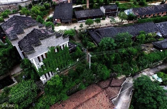 古樹奇緣西來小鎮(zhèn)