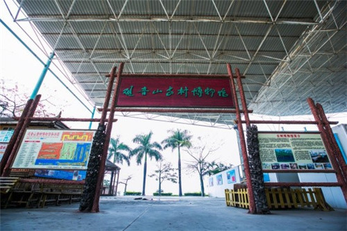 觀音山古樹(shù)博物館比黃帝還老的“老人”