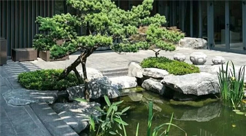 庭院設(shè)計(jì)水景有什么優(yōu)點(diǎn)？