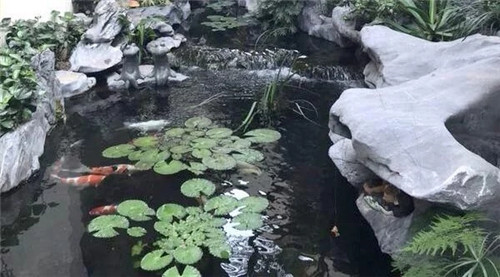 庭院設(shè)計(jì)水景有什么優(yōu)點(diǎn)？