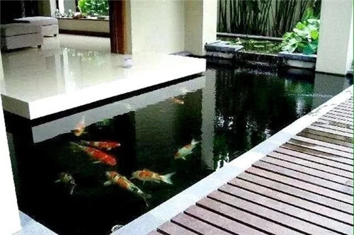 庭院設(shè)計(jì)水景有什么優(yōu)點(diǎn)？