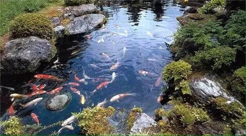 庭院設(shè)計(jì)水景有什么優(yōu)點(diǎn)？