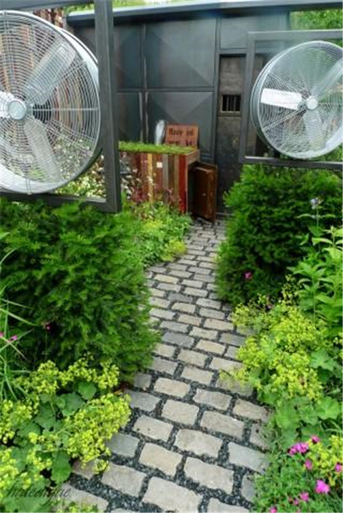 石頭“玫瑰花園”，深深打動了我！